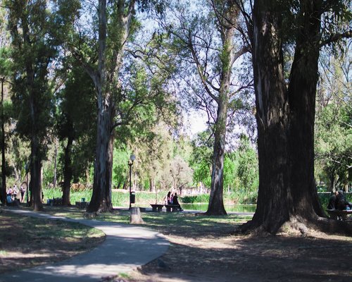 Estiramientos ligeros en el parque